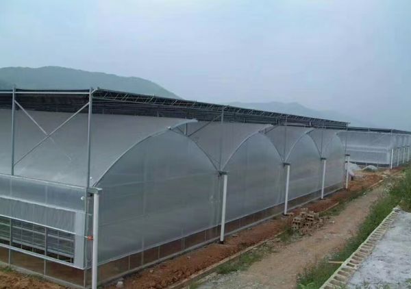 漲知識！專業溫室大棚建設要點